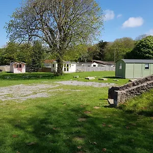 Acorn And Campsite